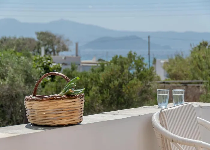 Farma * Agia Anna (Naxos)